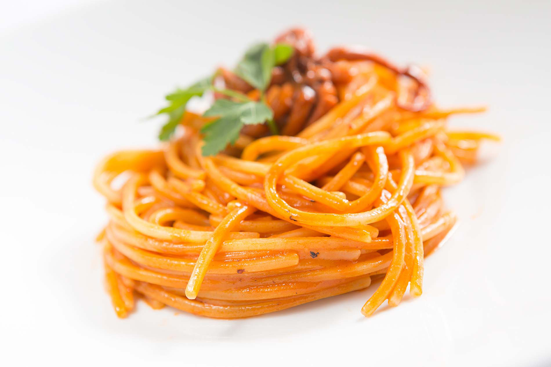 Spaghetti Quadrati con moscardini